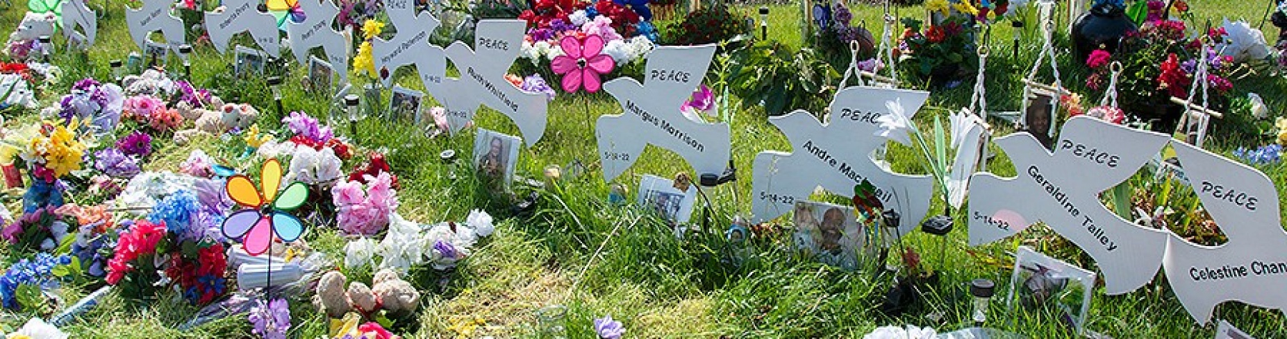 March for Our Lives. 