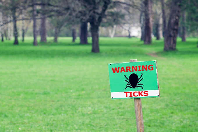 A sign on a grassy and treed area featuring a illusration of a tick reading, "Warning Ticks.". 