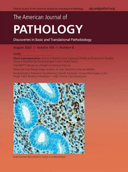 Cover of the August 2023 issue of The American Journal of Pathology featuring a graphic from a study by UB researchers. 