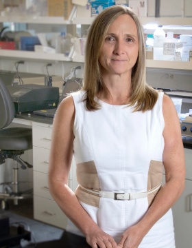 Kinga Szigeti MD PhD; Director of the Alzheimers Disease and Memory Disorders Center; Department of Neurology; Jacobs School of Medicine and Biomedical Sciences at the University at Buffalo; 2019. 