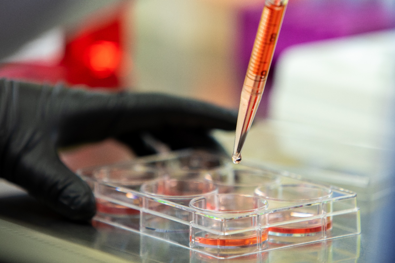 Zoom image: A study from the lab of University at Buffalo chemistry professor G. Ekin Atilla-Gokcumen has revealed the mechanism behind an explosive form of cell death known as necroptosis and how to minimize it. Credit: Meredith Forrest Kulwicki/University at Buffalo 