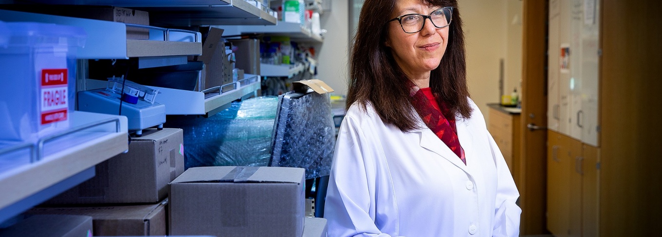 Zoom image: Neuroscientist Sandra Kuhlman, associate professor of physiology and biophysics, likes UB's emphasis on collaborative, cross-disciplinary research. Photo: Meredith Forrest Kulwicki 