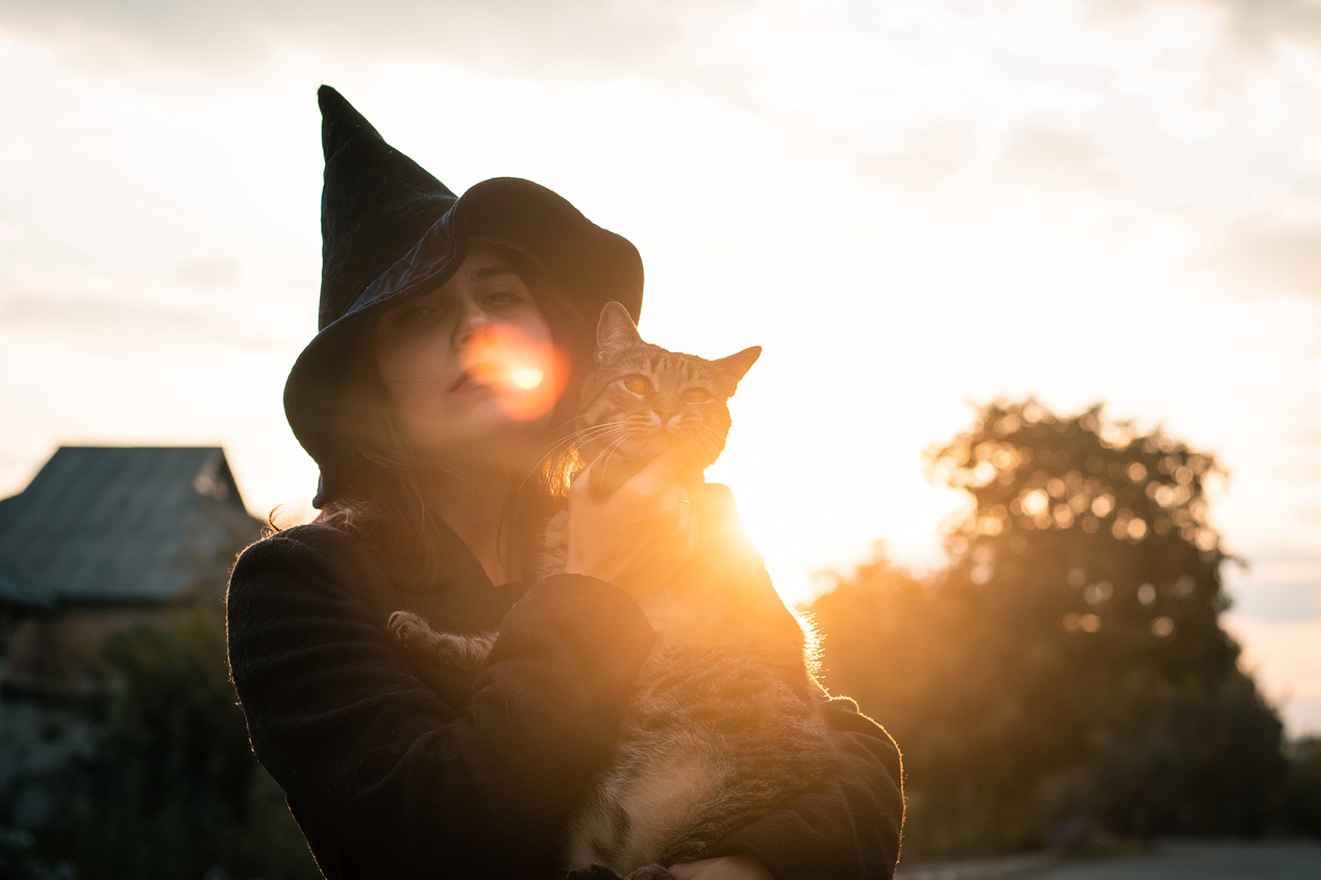Sun setting behind a witch holding a cat. 