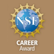 NSF CAREER award logo. 