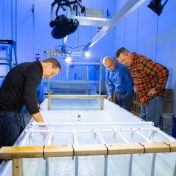 Zoom image: (Left to right) Adam Grodek, Sean Bennett and Kevin Cullinan observe emerald shiner minnows swim in an experimental flume. These observations were the basis for the Freedom Park fishway. Photo: Douglas Levere/University at Buffalo 