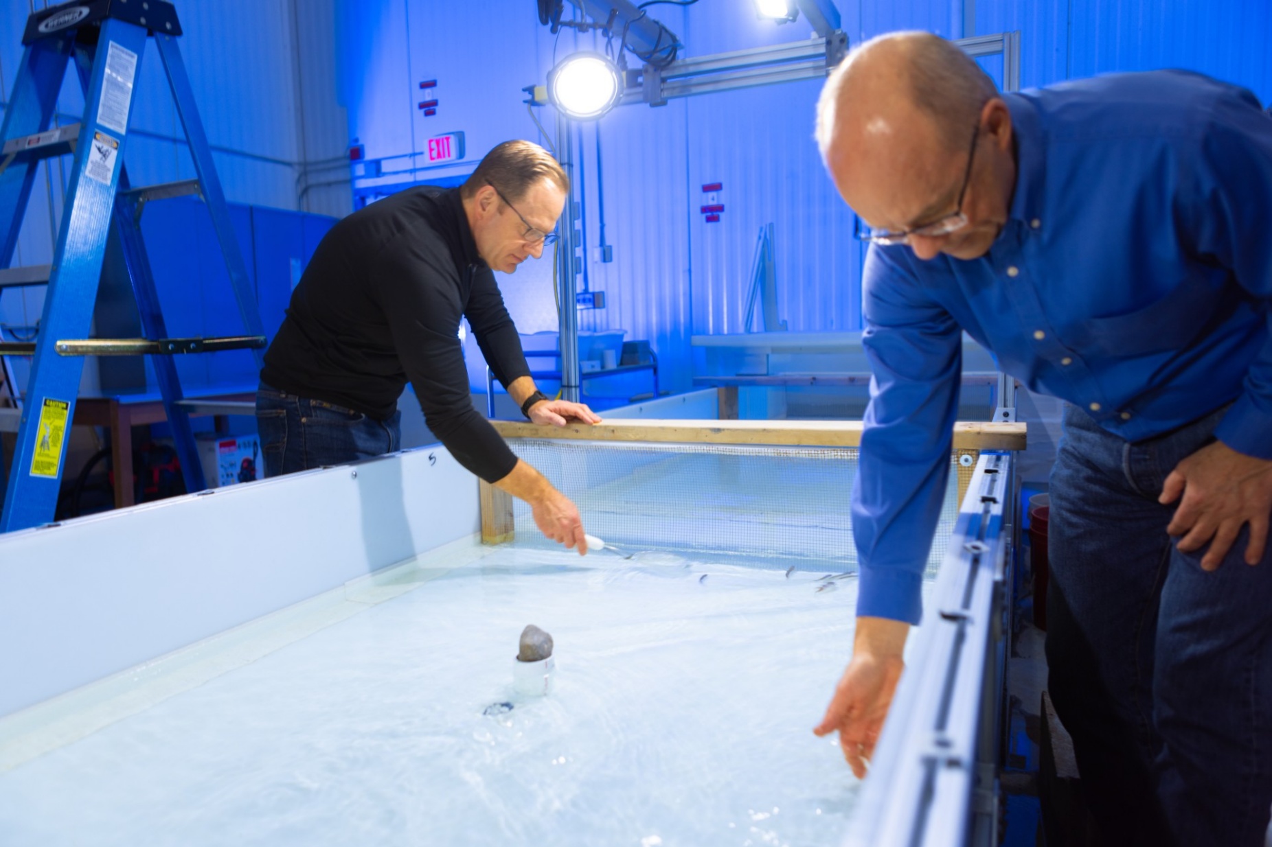 Zoom image: The team uses a video camera overhead and an object detection model to track the shiners' movements, as well as the water velocity, inside the flume. Photo: Douglas Levere/University at Buffalo 