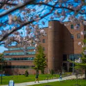 An image of Park Hall, framed by a budding tree. 