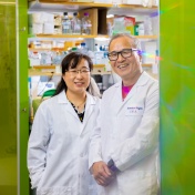 Zoom image: Soo-Kyung and Jae Lee lead the University at Buffalo's FOXG1 Research Center. Photo: Douglas Levere/University at Buffalo 