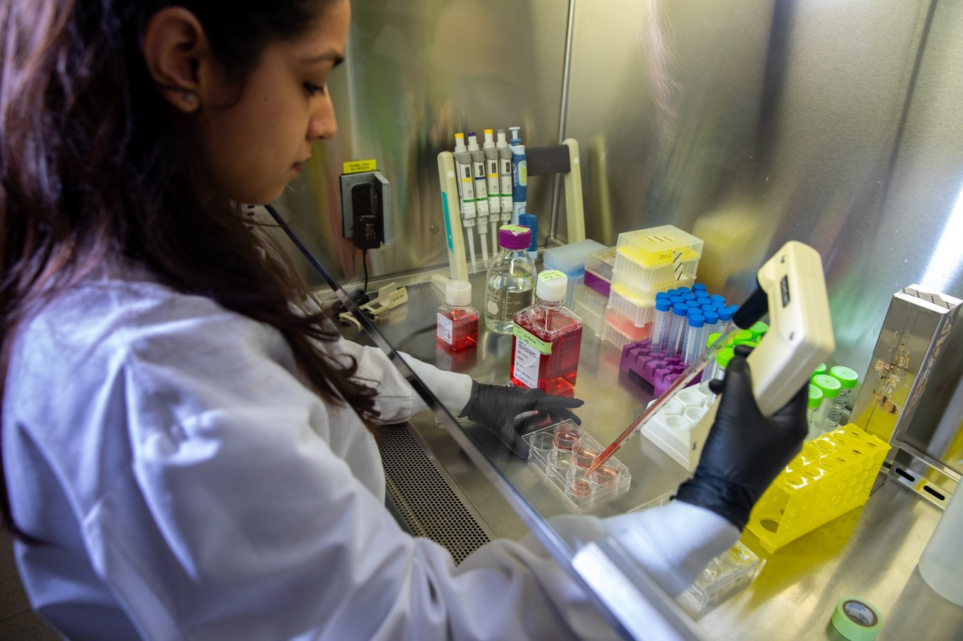 Zoom image: The study suggests that distinct molecular structures within each type of PFAS drives changes in gene expression. Photo: Meredith Forrest Kulwicki/University at Buffalo 