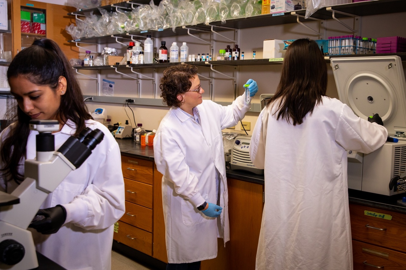 Zoom image: Atilla-Gokcumen's lab (pictured) found 11 genes that are consistently affected by PFAS exposure, either expressing more or less, regardless of the type of PFAS tested. Photo: Meredith Forrest Kulwicki/University at Buffalo 