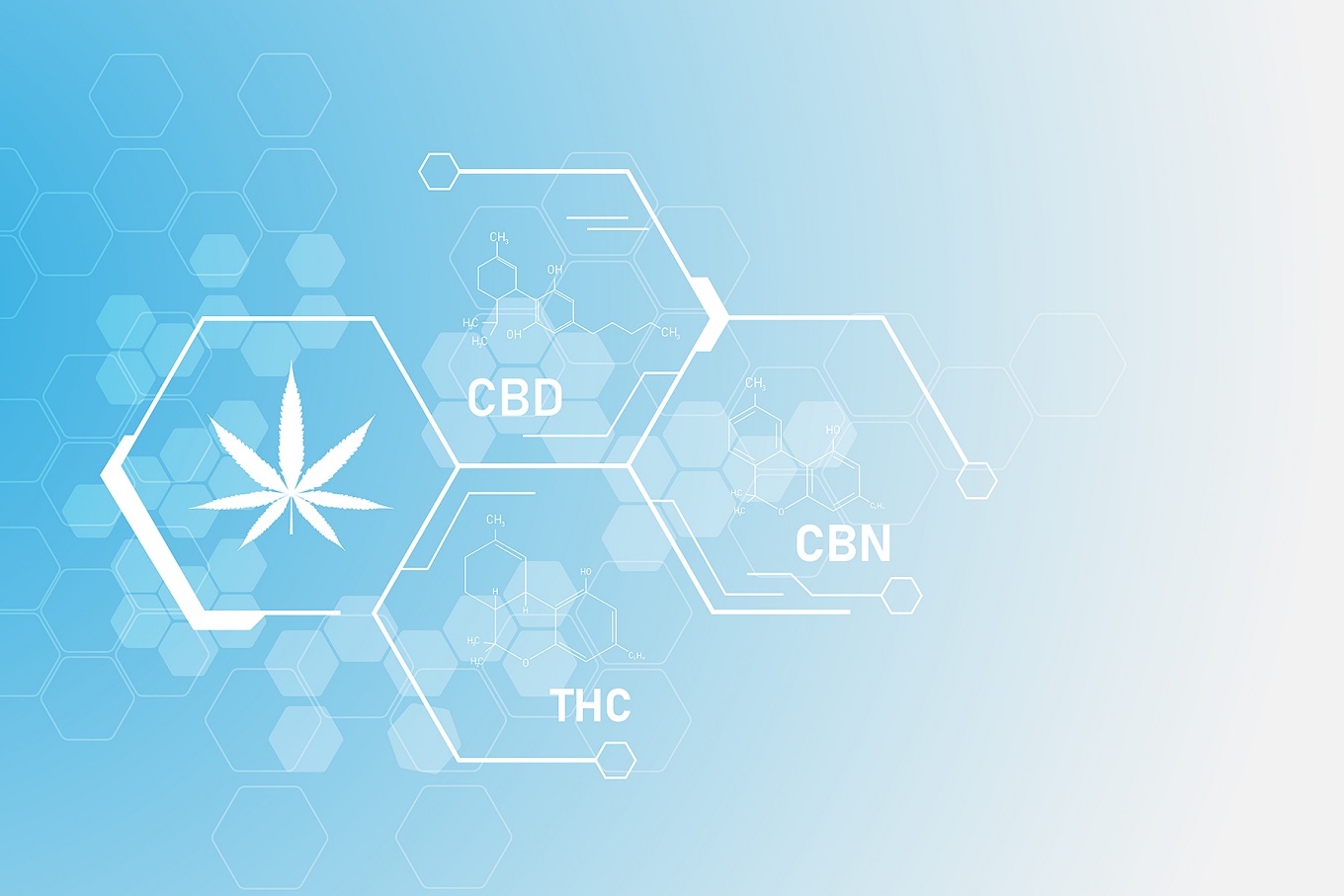 Concept of Cannabinoid research featuring an cannabis leaf and molecular structure of different cannabis chemicals. 