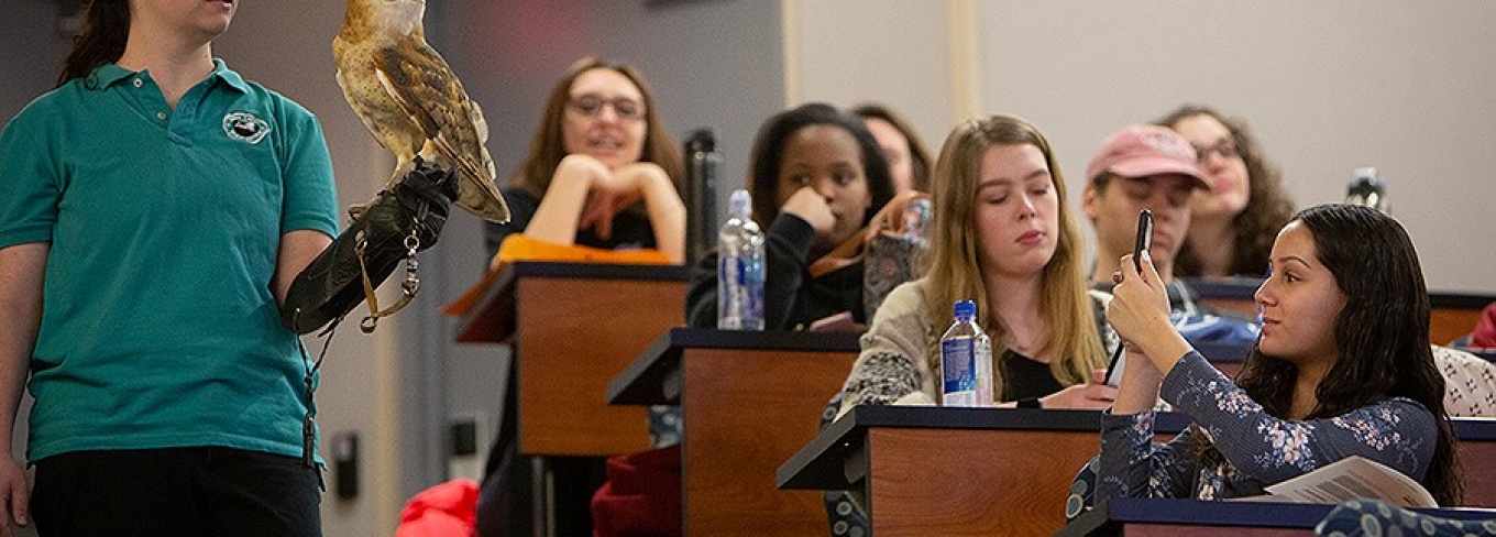 A woman holds an owl in a classroom while students look on. 