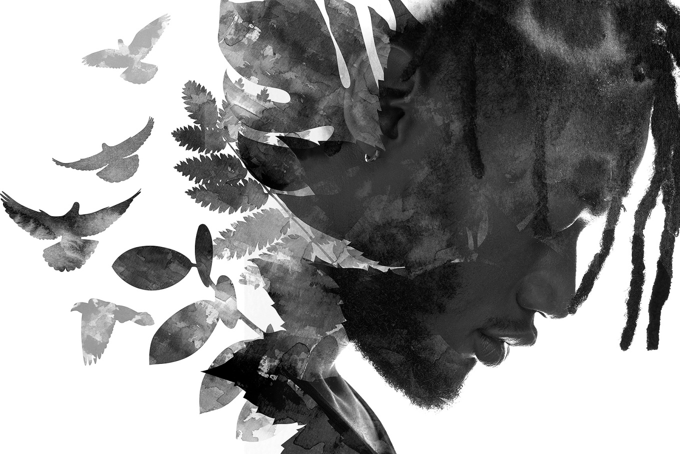 Silohuette of a young man with his head bowed, various plants wildlife and birds make up the silohuette. 