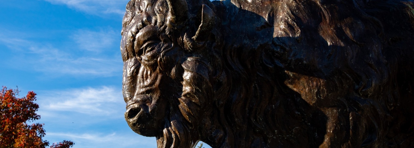 Bronze bison sculpture on UB North Campus. 