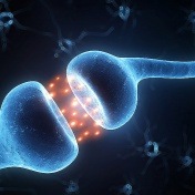 New insights into cocaine addiction. 