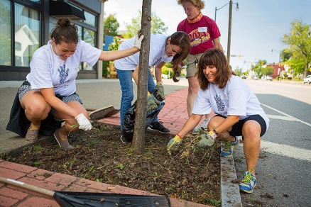 Zoom image: (L-R) UB employees Kristi Augenblick, Lani Jandreau, Gayle Hutton and Jen Seth-Cimini clear weeds from a tree along Main Street during the Day of Caring. Photo: Douglas Levere 