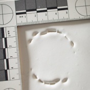 Decision looms on bite-mark analysis. 