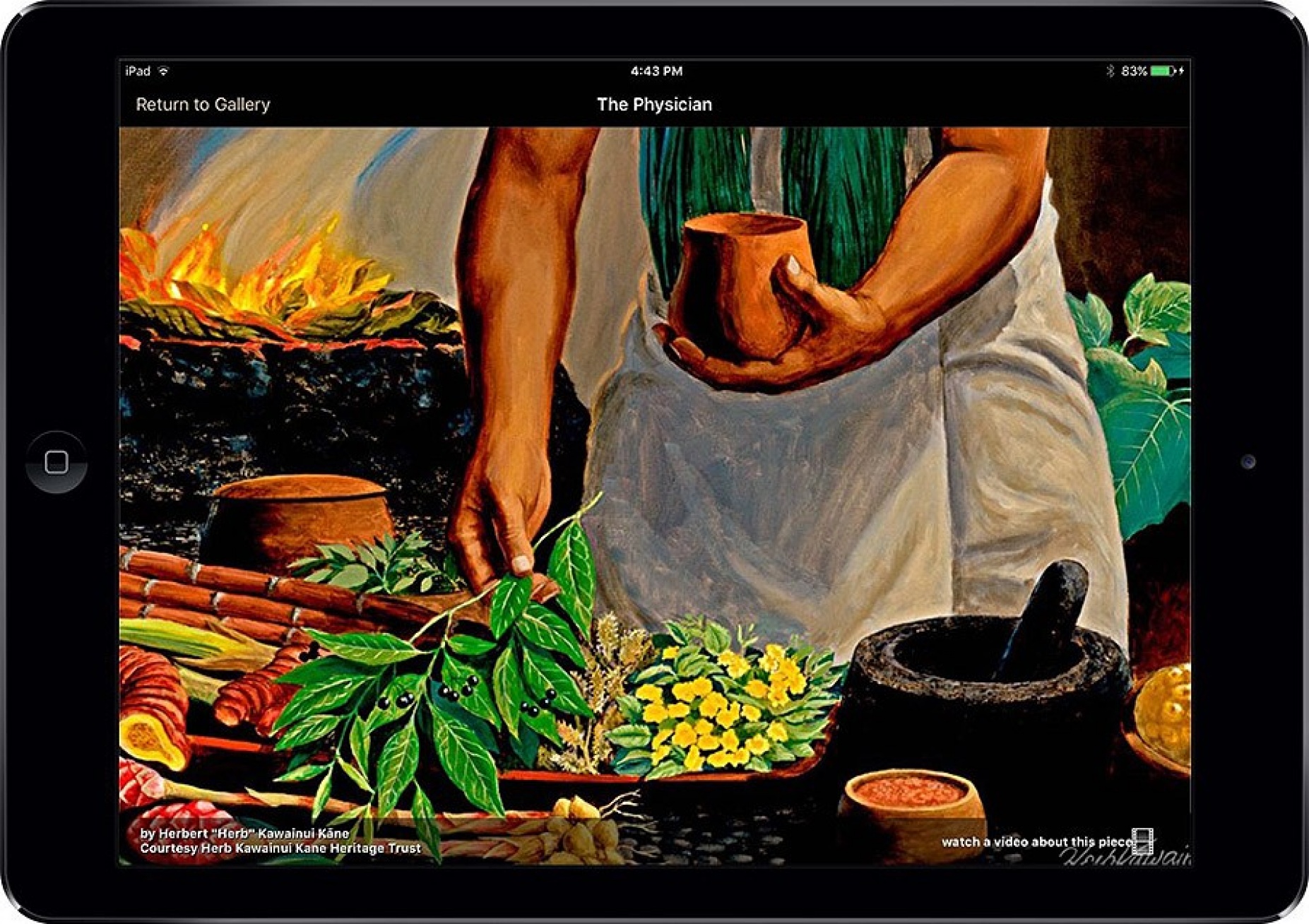 Native voices iPad display.