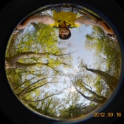 Weather station on wheels. 