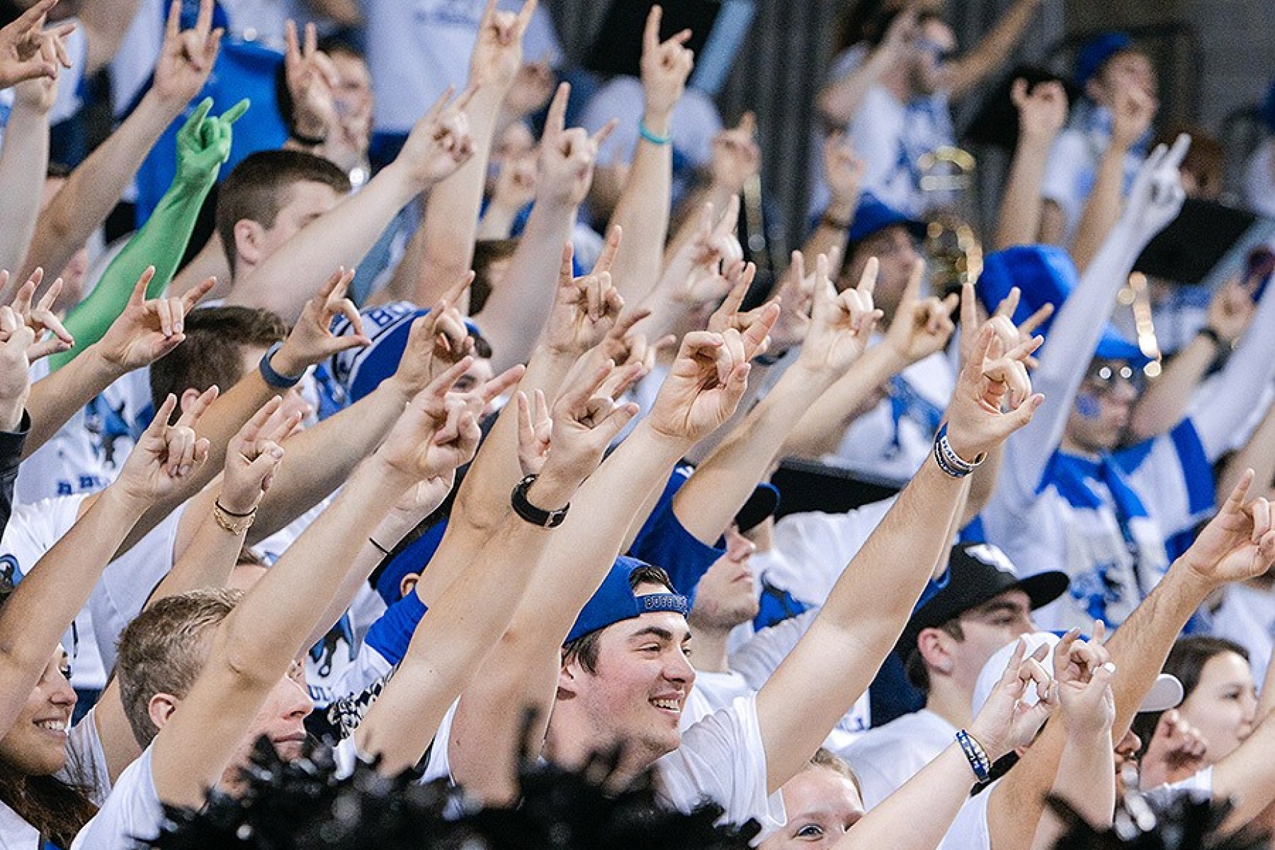 UB Bulls fans. 