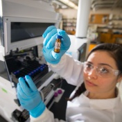 As cells age, fat content shifts. 