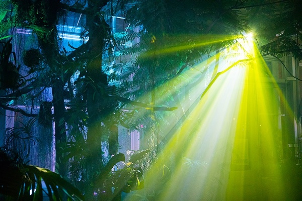 Zoom image: Students designed a completely LED lighting system for the greenhouse. Photo: Douglas Levere 
