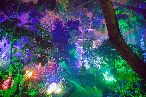 Zoom image: A couple strolls down a path in the Panama Cloud Forest greenhouse. Photo: Douglas Levere 