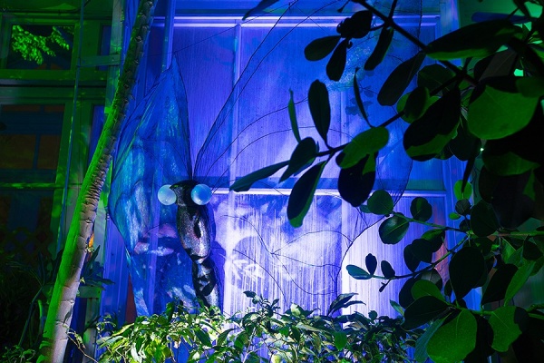 Zoom image: The rainforest is a destination for butterfly watchers, so students included a large butterfly in the exhibit. Photo: Douglas Levere 