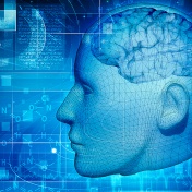 Illustration of the concept of brain develpment. 