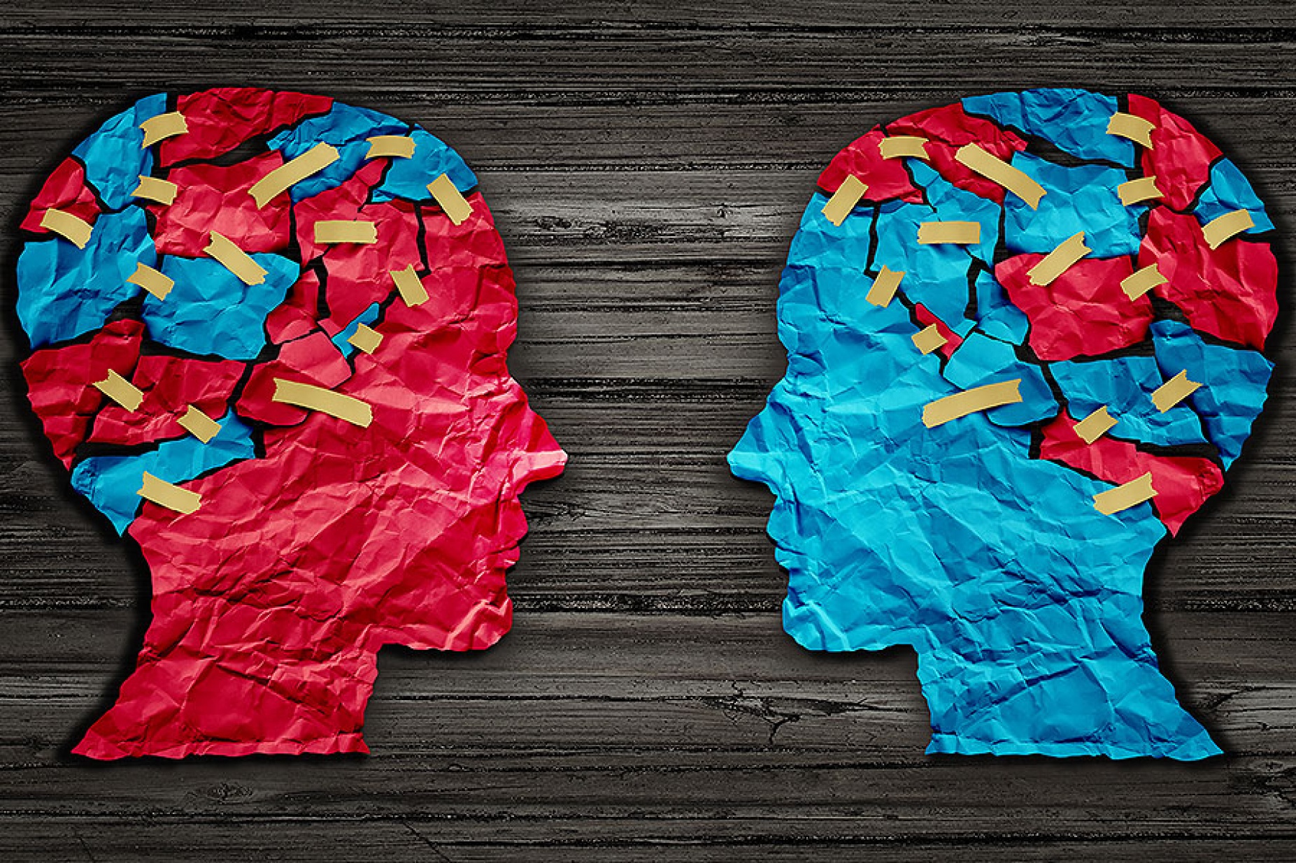 Conceptual photo-illustration of polarized views. 