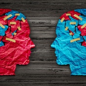 Conceptual photo-illustration of polarized views. 