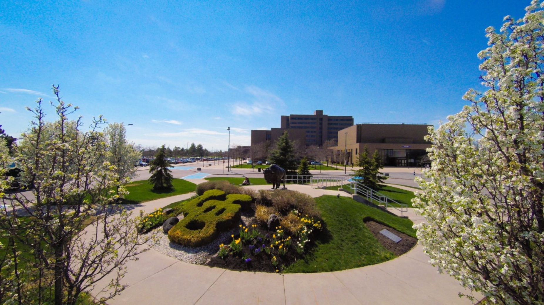 view of north campus from the buffalo statue in front of the center for the arts. 