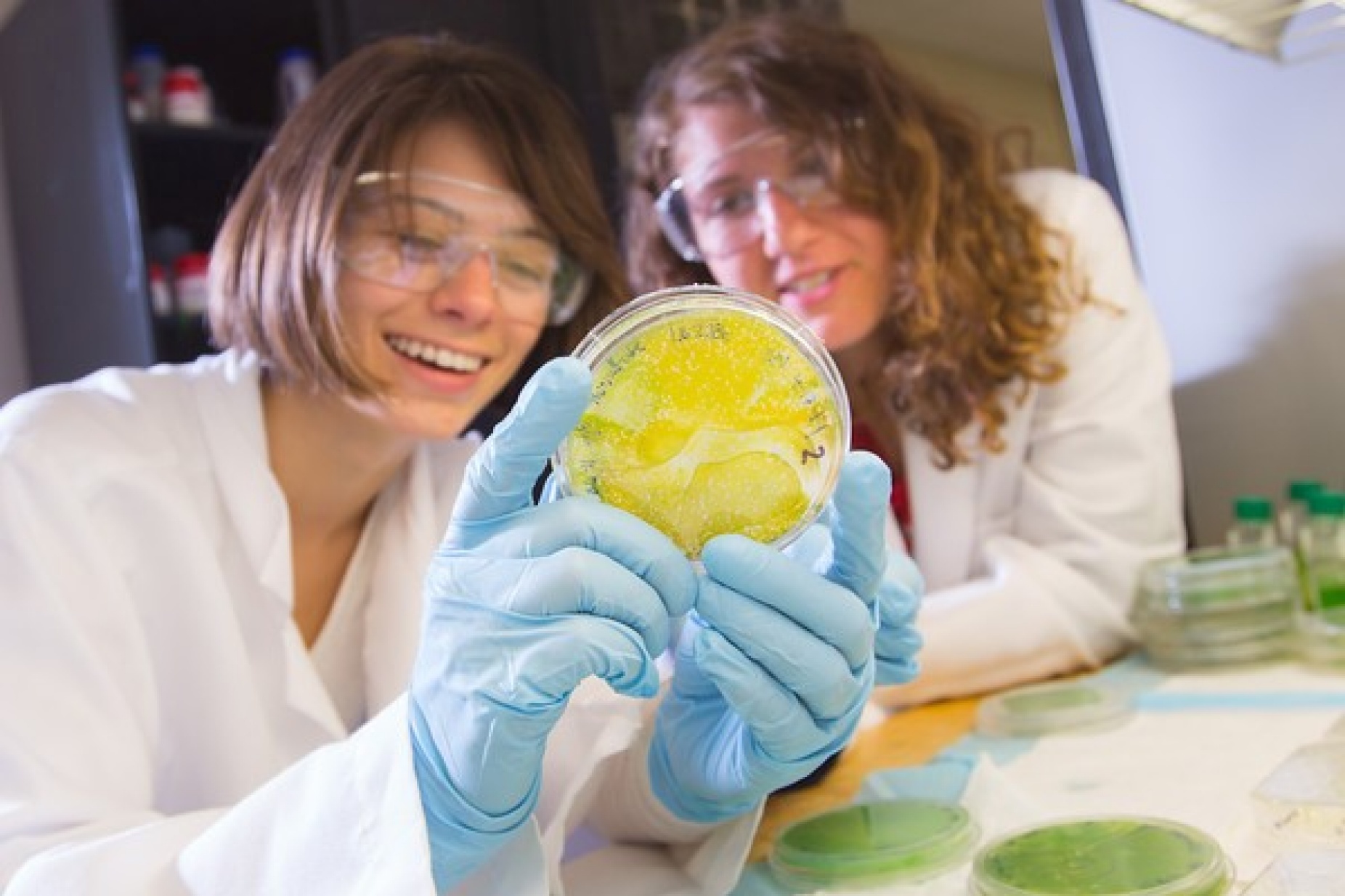 women wearing lab coats and googles in a research lab holding a petri dish filled with a yellow substance. 