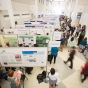 Wide view of the poster session at celebration of Student Academic Excellence. 