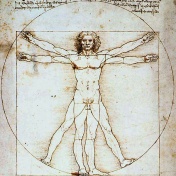 Vitruvian man. 