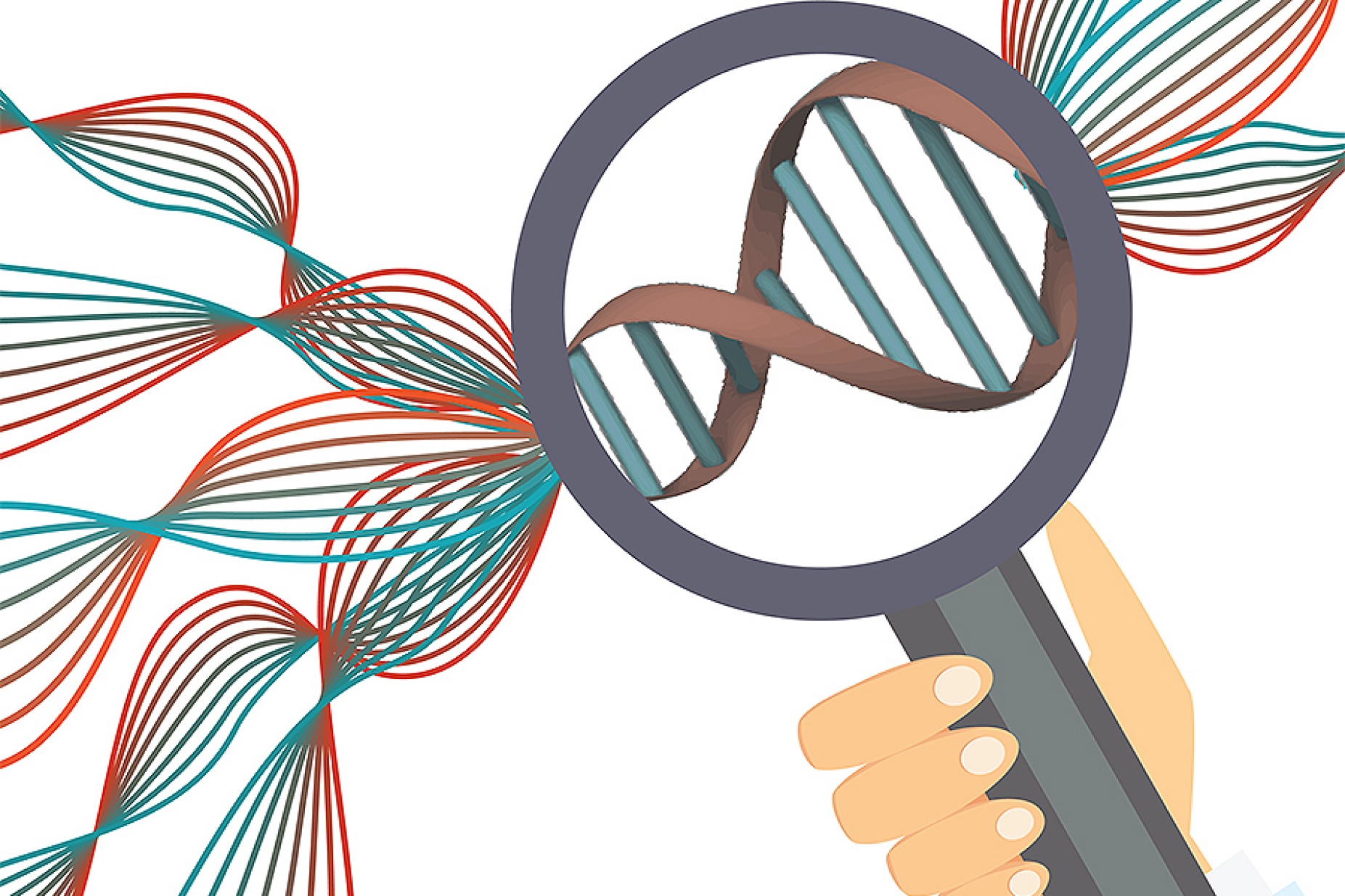 Illustration of the concept of examining genes. 