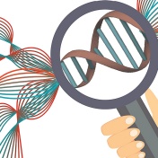 Illustration of the concept of examining genes. 