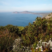 Kogleberg National Reserve. 