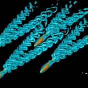 A 3D simulation of four fish in a diamond arrangement illustrates how systems in nature often organize themselves into groups or patterns. 