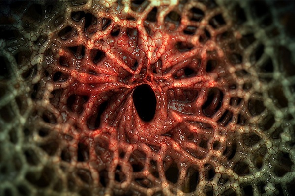 A film still from the video Sua Cancroma. 