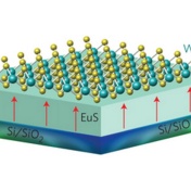 A two-layered heterostructure, with a 10 nanometer thick film of magnetic EuS (europium sulfide) on the bottom and a single layer (less than 1 nanometer) of the transition metal dichalcogenide WSe2 (tungsten diselenide) on top. 