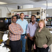 picture of faculty members Rajendram Rajnarayanan and Margarita L. Dubocovich with students Anthony Jones and Kerri Pryce in a lab in Farber Hall. 