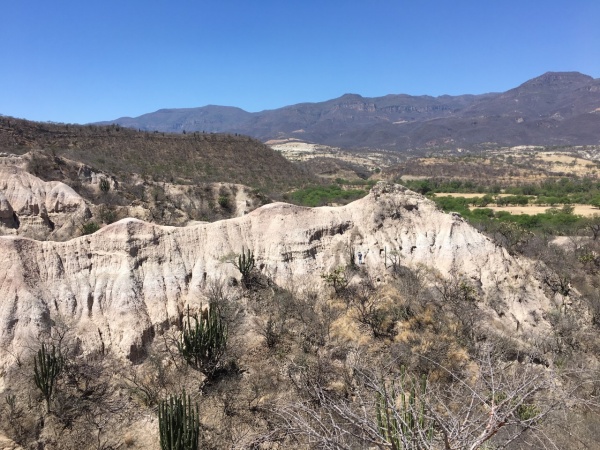 Site in mexico where the jawbone was discovered. 