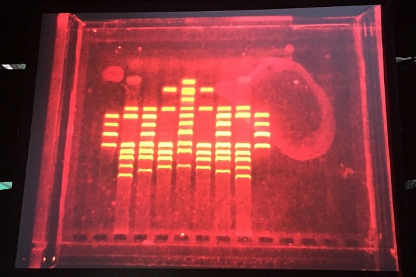 Zoom image: An image of a crown created from the DNA in human saliva. 