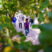 Students walking on campus framed through the leaves of a tree. 