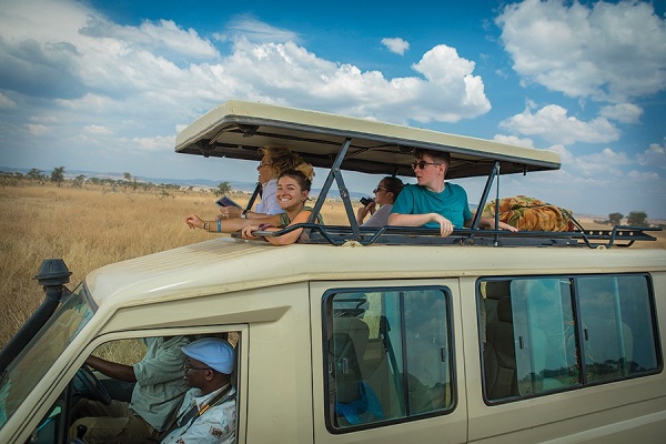 Zoom image: Students also spent time in Serengeti Natural Park. "You're standing all day [in the safari vehicle], dirt on your face, but it was the greatest feeling to be there," said UB student Danielle Nerber. 