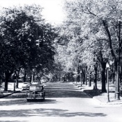 A 1953 photograph of Humboldt Parkway. Buffalo & Erie County Historical Society. 