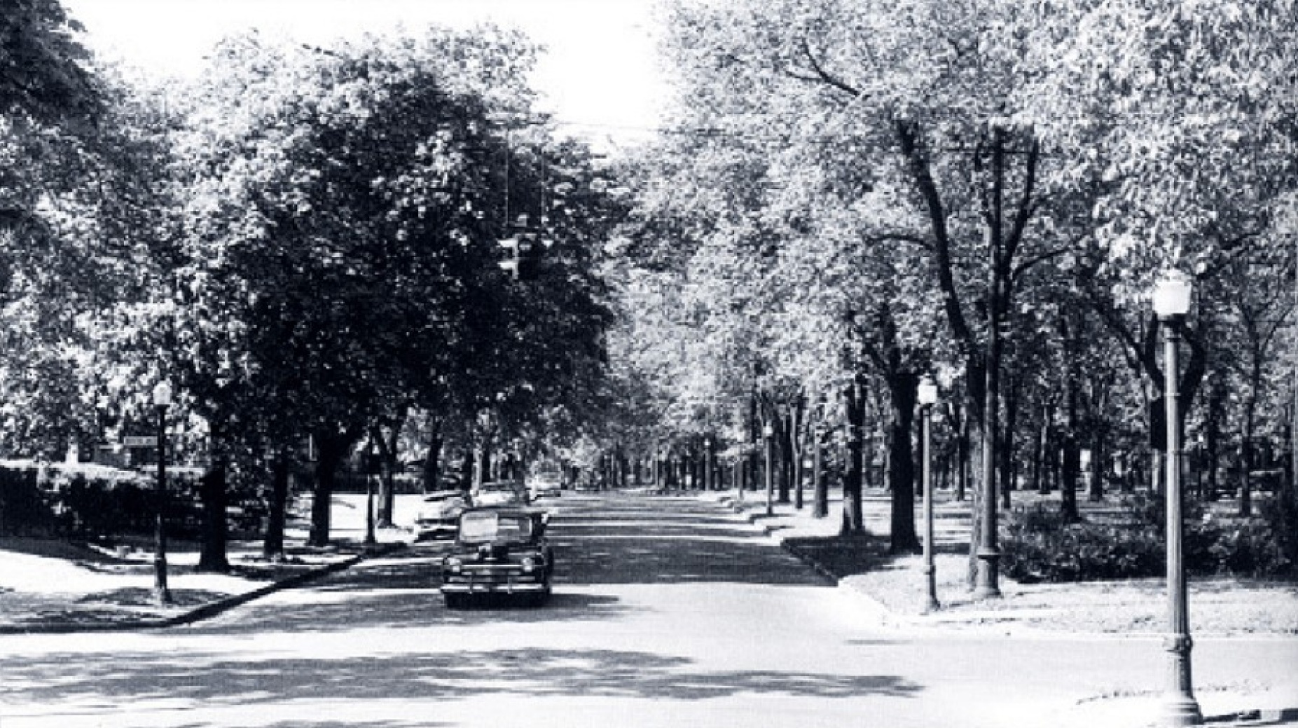 A 1953 photograph of Humboldt Parkway. Buffalo & Erie County Historical Society.