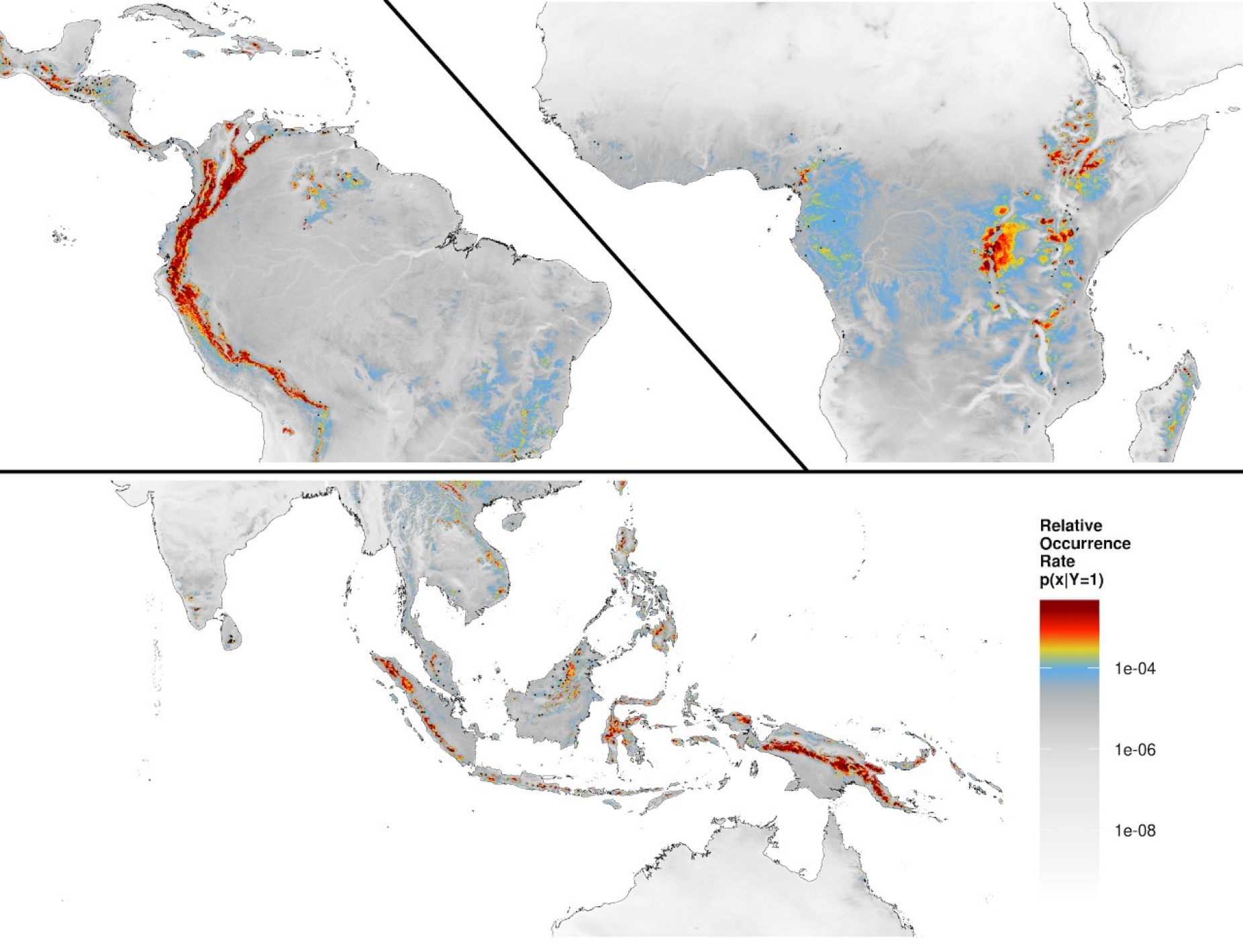 Maps show distribution of tropical montane cloud forests, as estimated using cloud cover data from satellites. 