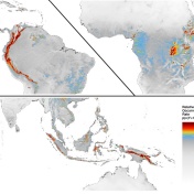 Maps show the distribution of tropical montane cloud forests, as estimated using cloud cover data from satellites. 